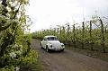 MG Bloesemrit op 24-4-2016 org. Jos&Marie-lou  (52)